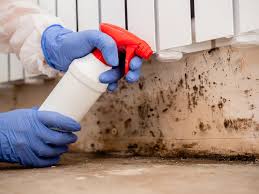 Best Mold Removal for HVAC Installations  in Mountain Home, NC